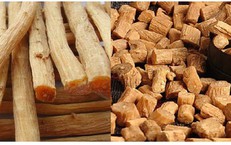 Đột Phá Trong Hồi Sức Cấp Cứu: Hướng Đi Mới Đến Điều Trị Chuyên Sâu và An Toàn