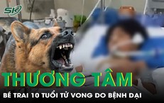 Cảnh Báo Sức Khỏe: Ba Trẻ Em Gặp Nạn Do Viêm Ruột Thừa Vỡ