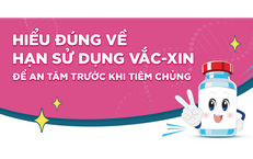 TPHCM Thực Hiện Khám Sức Khỏe Miễn Phí Cho Học Sinh Năm Học 2026–2027