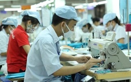 Nghị Định Mới: Mức Phạt Lên Đến 75 Triệu Đồng Cho Hành Vi Trốn Đóng Bảo Hiểm Xã Hội