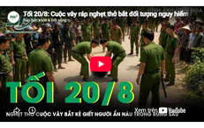 Tranh Chấp Di Sản: Anh Em Đưa Nhau Ra Tòa Giải Quyết Vấn Đề Đất Đai
