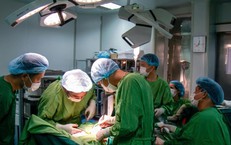 Câu Chuyện Đáng Lo Ngại Về Một Trẻ Em Bị Chó Cắn Nghiêm Trọng