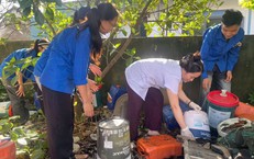 TP.HCM: Tăng Cường Khám Sức Khỏe Định Kỳ Cho Cộng Đồng