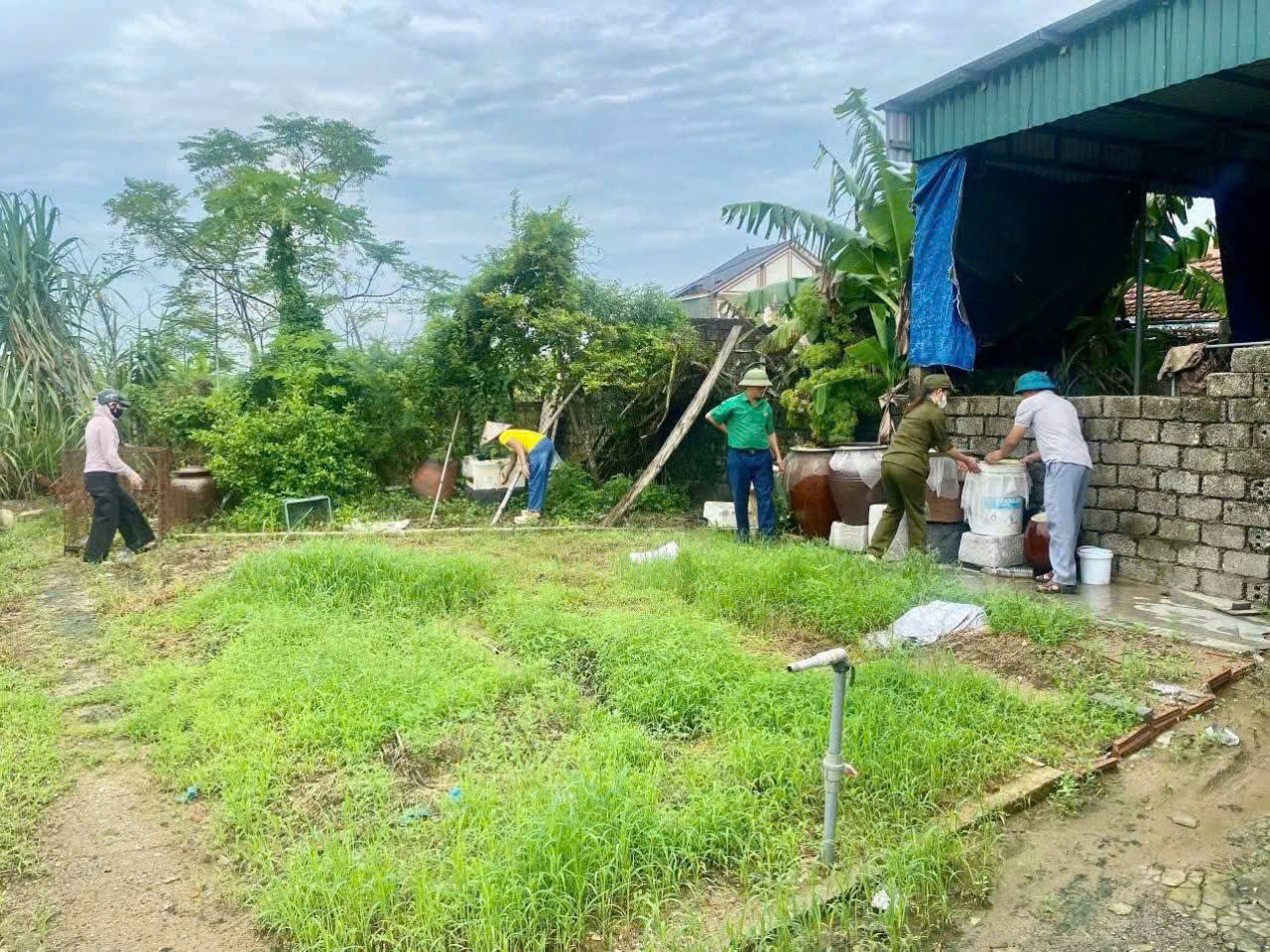 Nghệ An Đối Mặt Với Khủng Hoảng Sốt Xuất Huyết: 49 Ca Nhiễm Mới Tại Một Xã