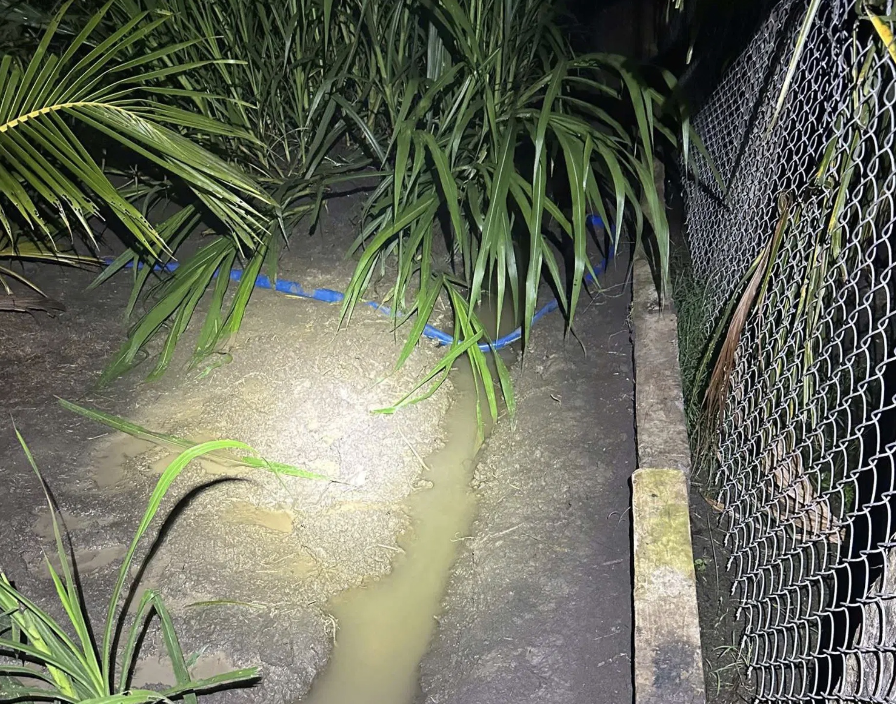 hinh-anh-7-9-26-luc-1126-17887552701591905757939 Điều tra vụ 2 anh em ruột tử vong trong vườn dừa - Ảnh 1.