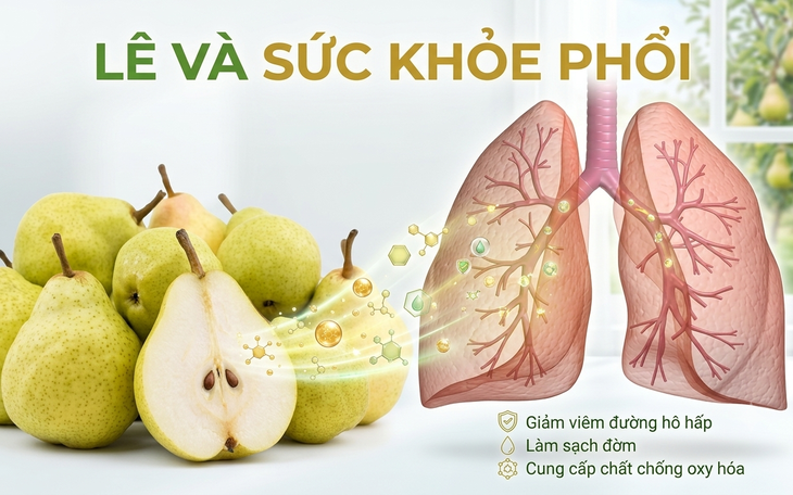 moi-ngay-nen-a-may-qua-le-de-tot-cho-phoi-khi-giao-mua-1787978079536174037497-0-85-768-1314-crop-1787978091822244610496 5 nhóm người nên ăn quả lê để có lợi cho sức khỏe - Ảnh 2.