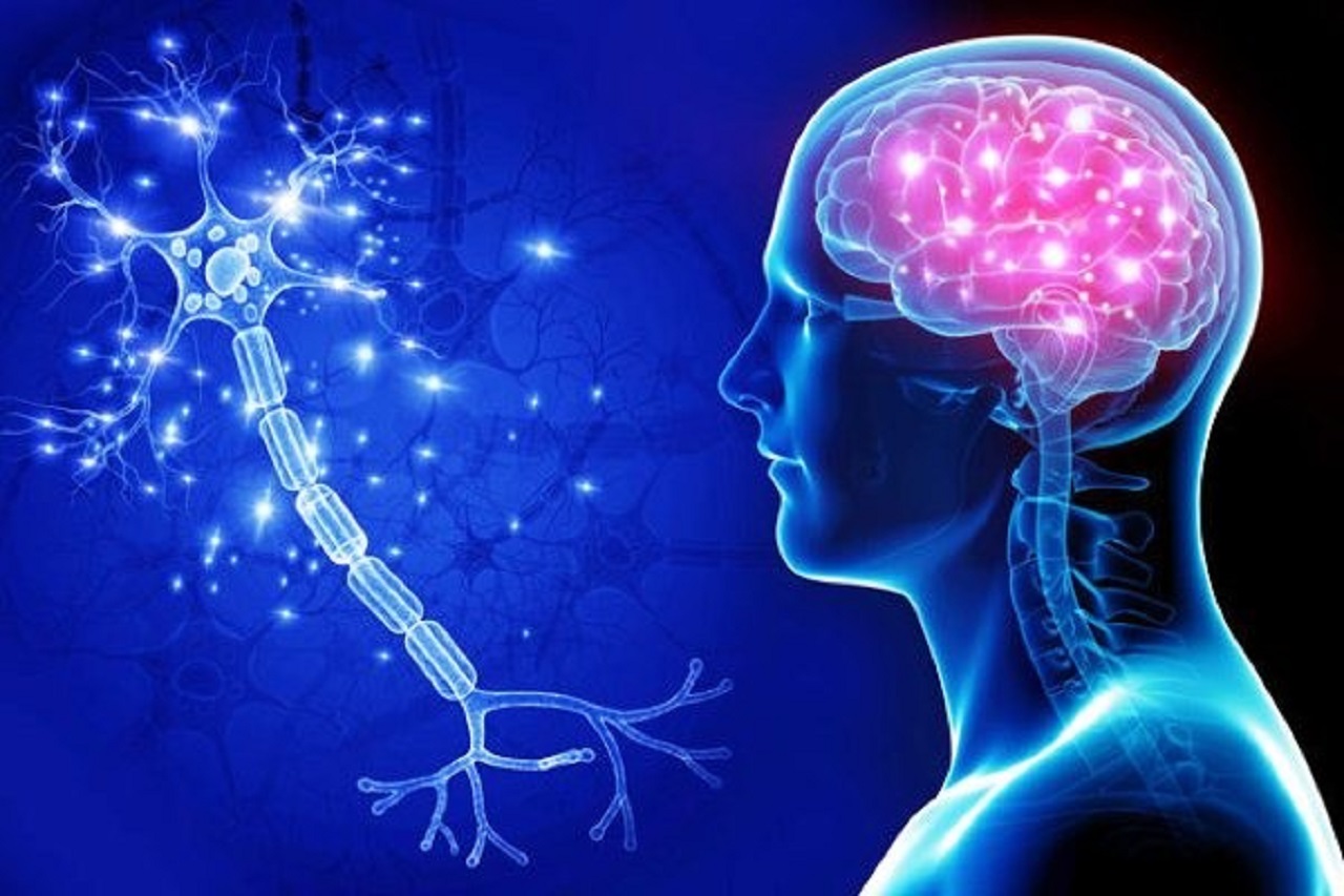 nhan-biet-dau-hieu-suy-giam-tri-nho-alzheimer-1789043749383-17890437498211340064527 4 yếu tố nguy cơ gây bệnh Alzheimer- Ảnh 1.