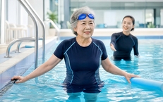 Lá sung: cách dùng, lợi ích hỗ trợ và những lưu ý an toàn cho sức khỏe